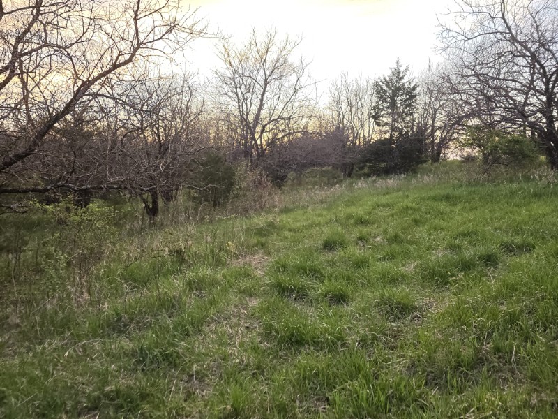 Listing photo 44